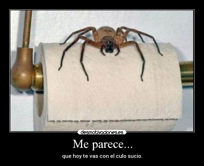 Me parece... - 