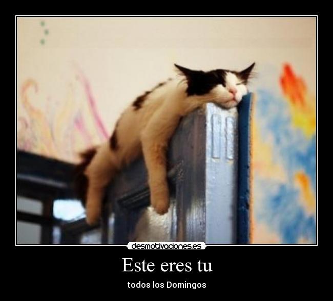 Este eres tu - todos los Domingos