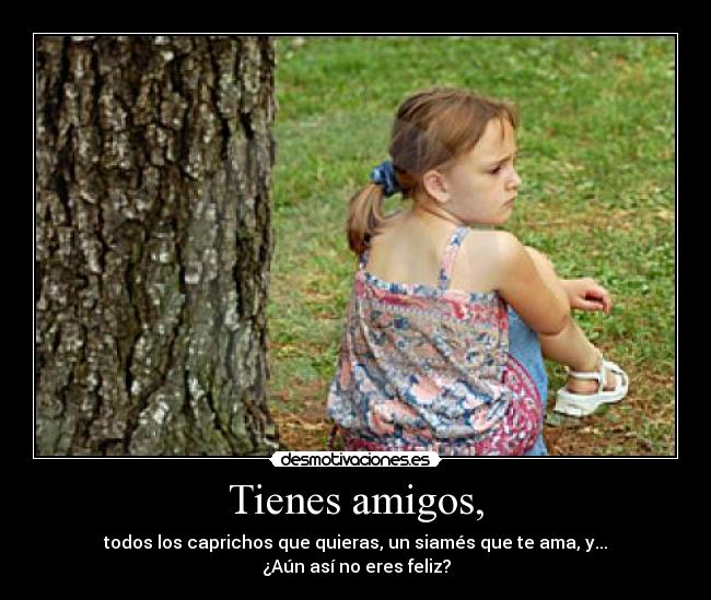 Tienes amigos, - todos los caprichos que quieras, un siamés que te ama, y...
¿Aún así no eres feliz?