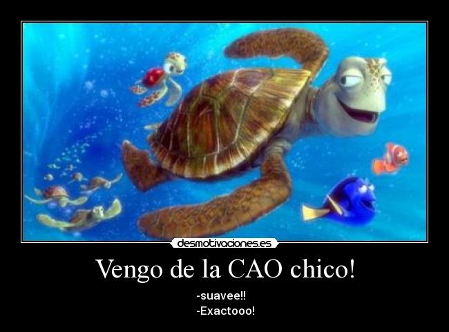 Vengo de la CAO chico! -