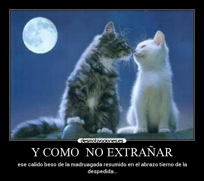 Y COMO  NO EXTRAÑAR - ese calido beso de la madruagada resumido en el abrazo tierno de la despedida...