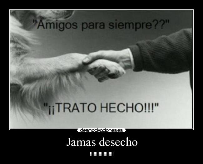 carteles marcelo alari desmotivaciones