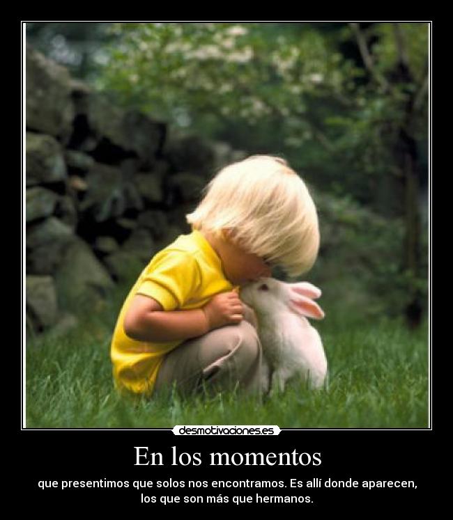 En los momentos - 