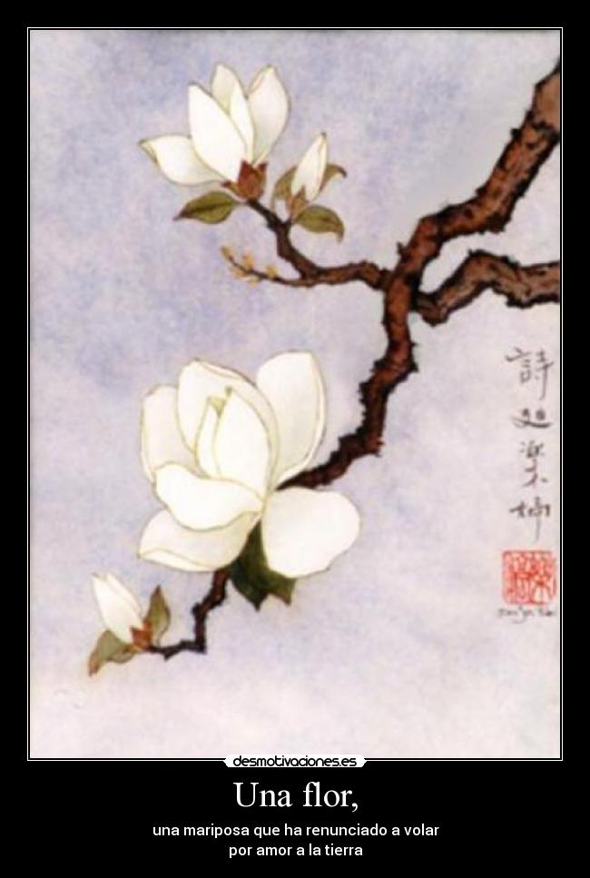 Una flor, - una mariposa que ha renunciado a volar
por amor a la tierra