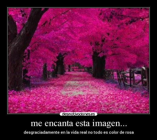 carteles color rosa desmotivaciones