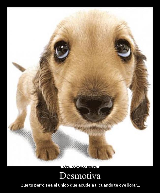 Desmotiva -