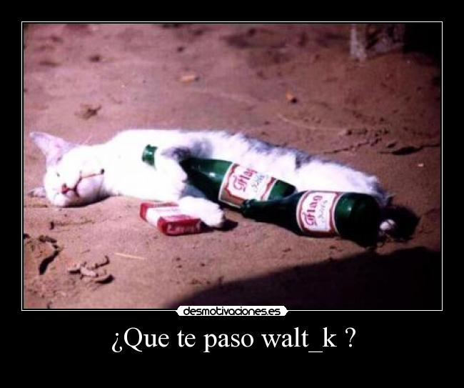 ¿Que te paso walt_k ? -