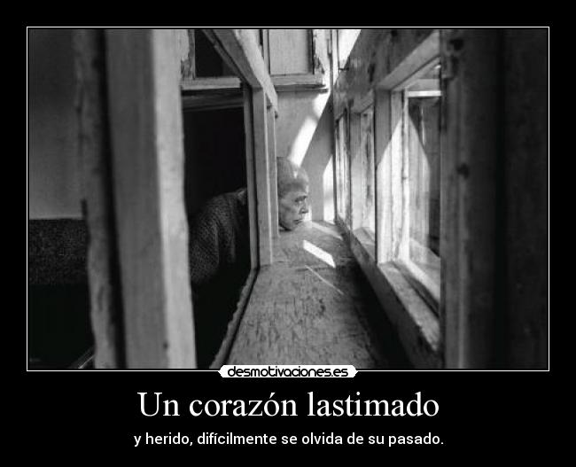carteles corazon corazon lastimado olvida desmotivaciones