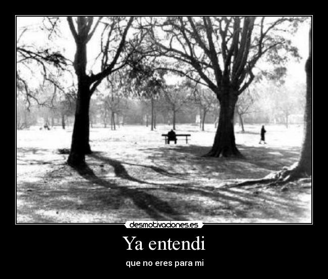 Ya entendi - que no eres para mi