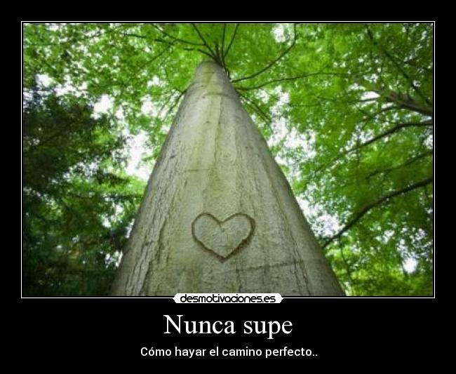 Nunca supe - Cómo hayar el camino perfecto..