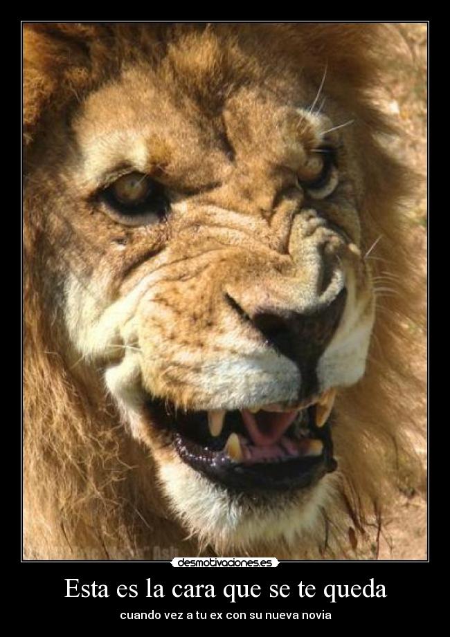 Esta es la cara que se te queda -