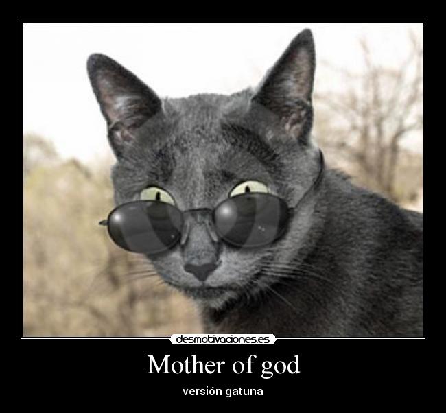 Mother of god - versión gatuna