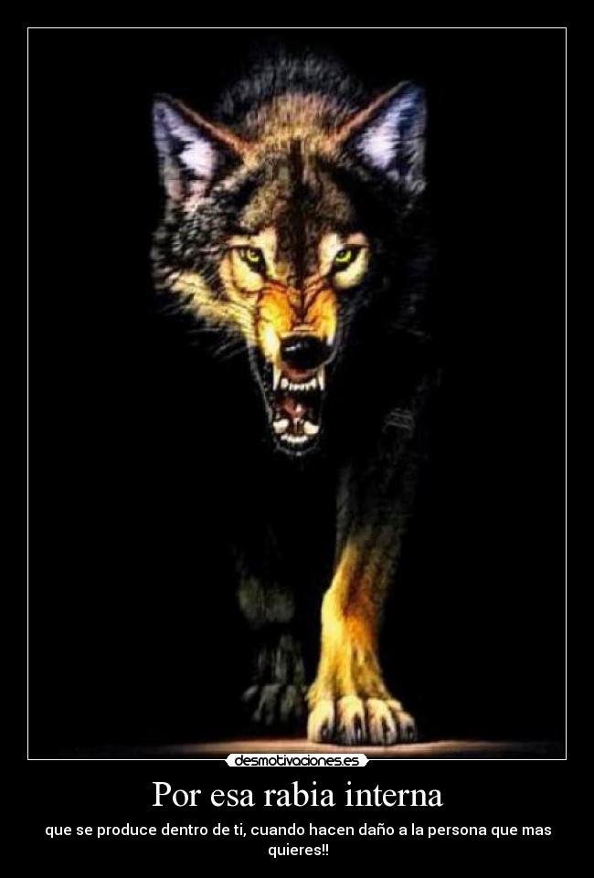 carteles lobos desmotivaciones