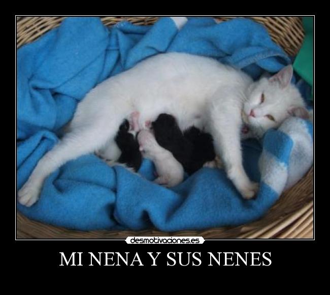 MI NENA Y SUS NENES - 
