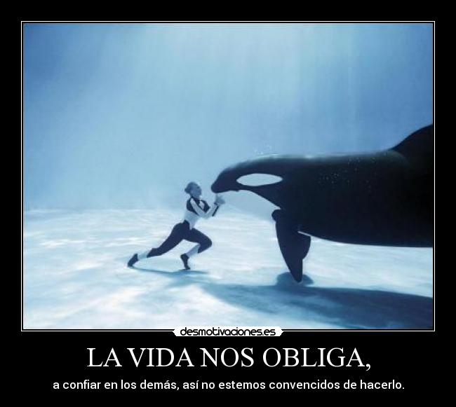 LA VIDA NOS OBLIGA, - a confiar en los demás, así no estemos convencidos de hacerlo.