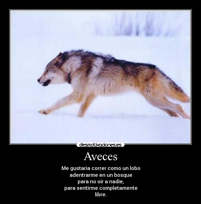 Aveces - Me gustaria correr como un lobo
adentrarme en un bosque
para no oir a nadie,
para sentirme completamente
libre.