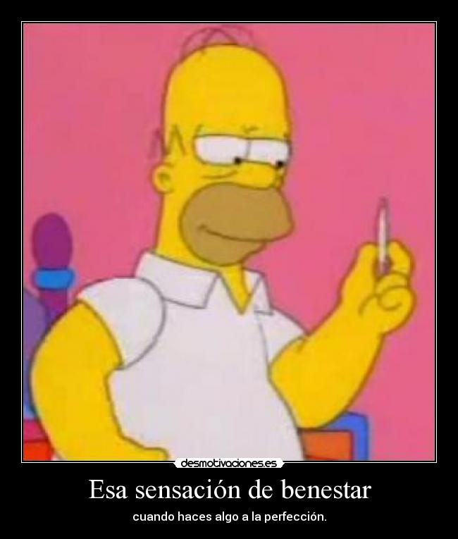 carteles sep lio puta madre jodida respuesta esa desmotivaciones