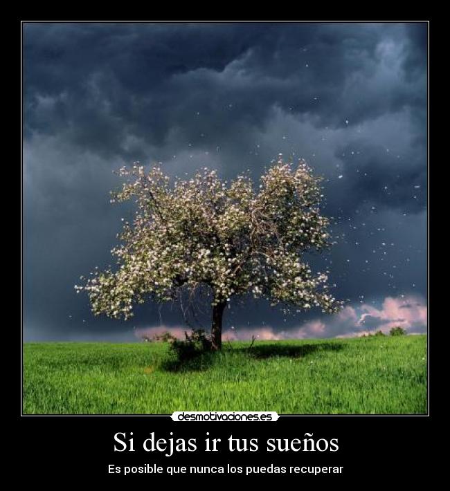Si dejas ir tus sueños - Es posible que nunca los puedas recuperar