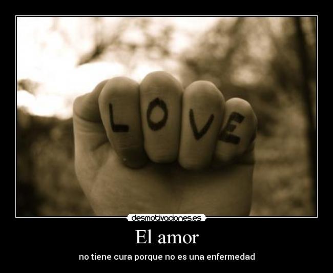 El amor - 