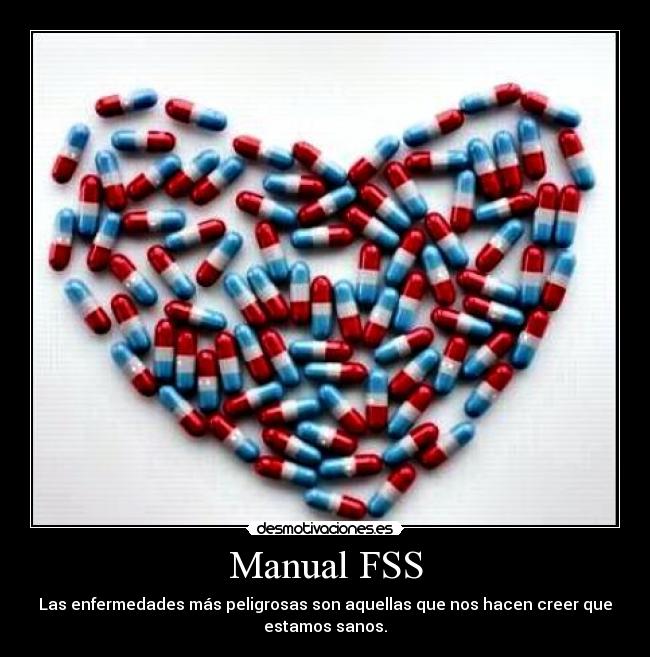 Manual FSS -