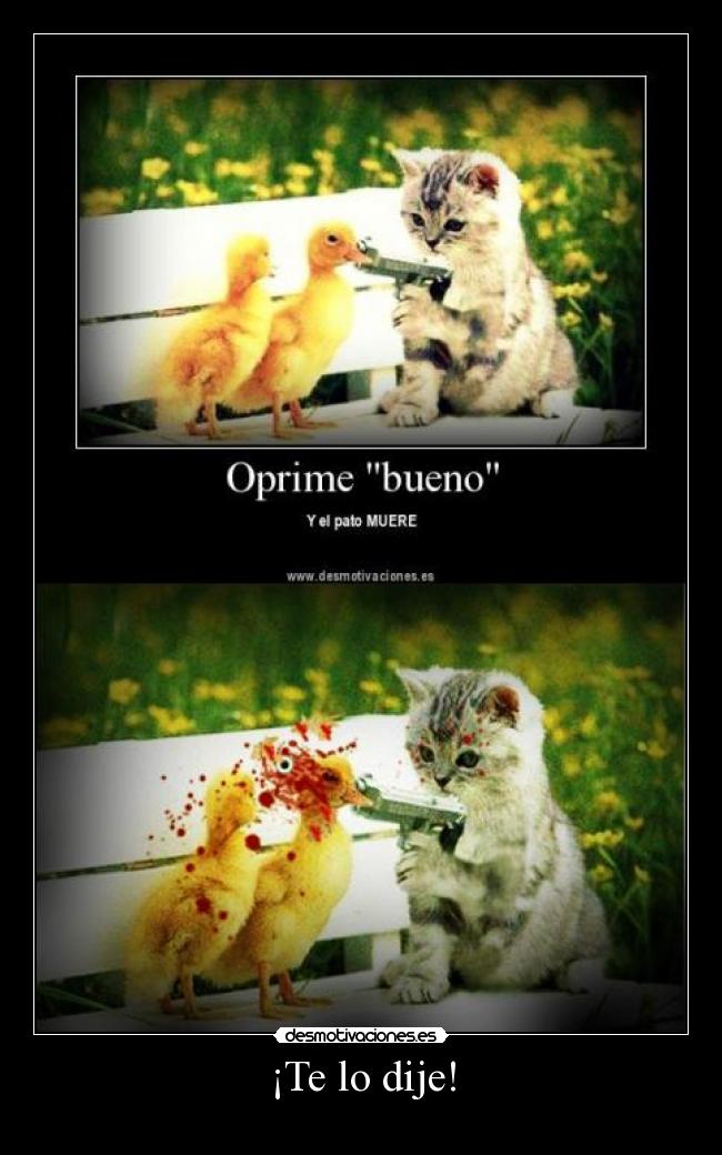 carteles pato gato muere oprime clik dije desmotivaciones