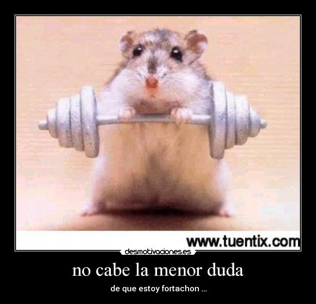 carteles fortachon desmotivaciones