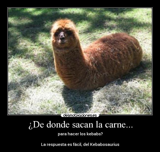 carteles kebab misteriorsa carne rollo estan ricos los jodidos mejor preguntar joder desmotivaciones