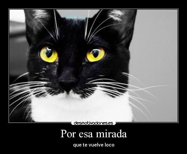 Por esa mirada - que te vuelve loco