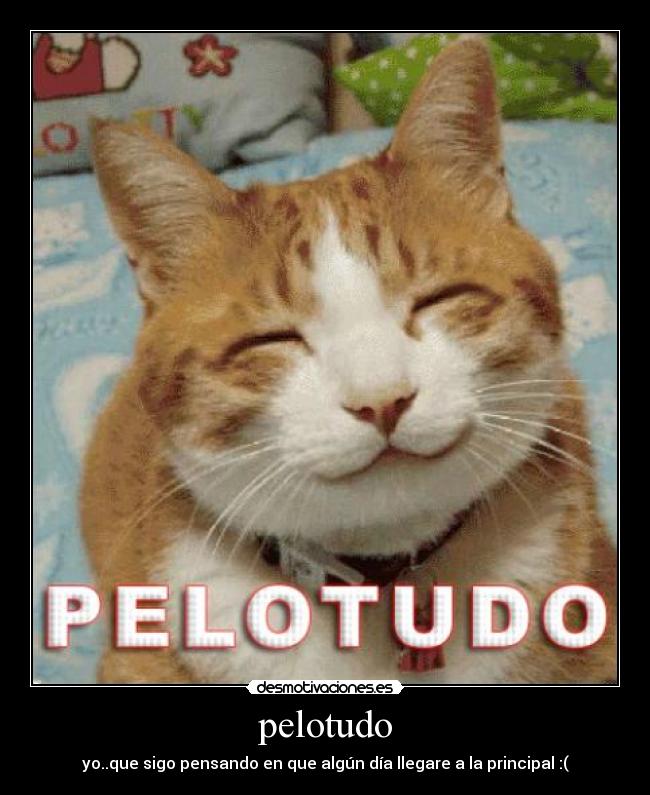 pelotudo - yo..que sigo pensando en que algún día llegare a la principal :(