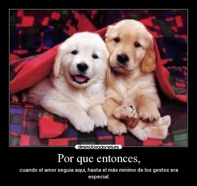 Por que entonces, - cuando el amor seguia aqui, hasta el más minimo de los gestos era especial.