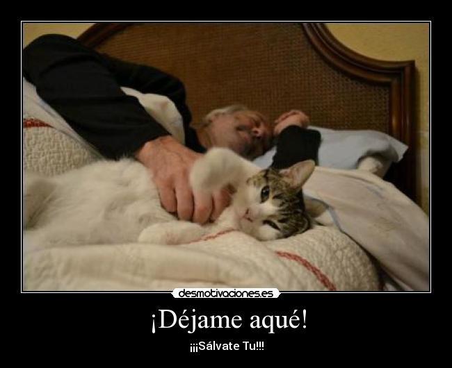 ¡Déjame aqué! - ¡¡¡Sálvate Tu!!!