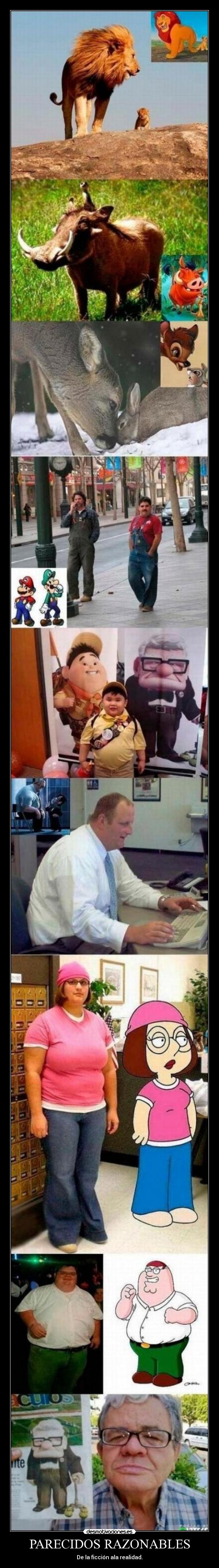 PARECIDOS RAZONABLES -