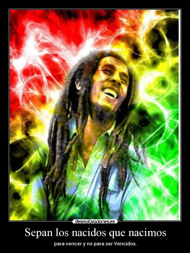 carteles bob marley desmotivaciones