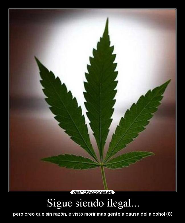 Sigue siendo ilegal... - 