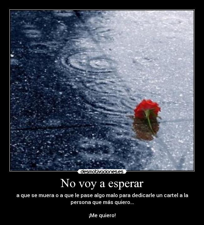 No voy a esperar - 