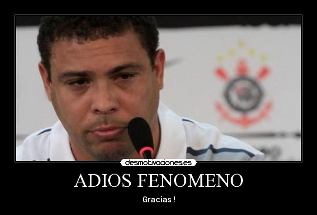 ADIOS FENOMENO - 