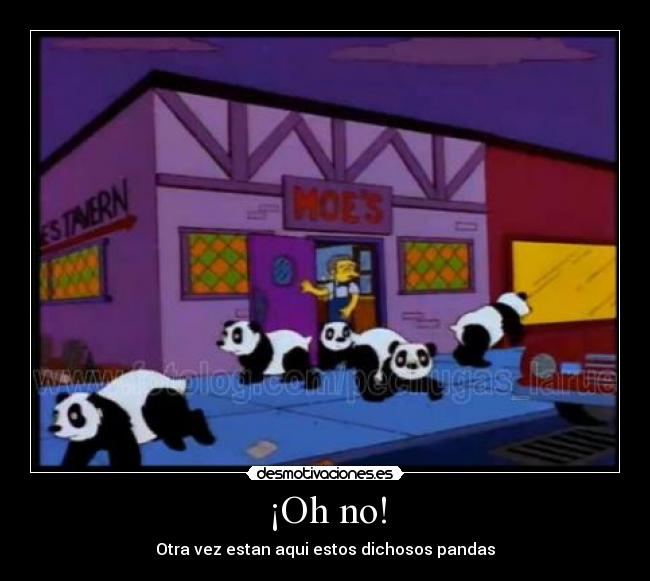 ¡Oh no! - Otra vez estan aqui estos dichosos pandas