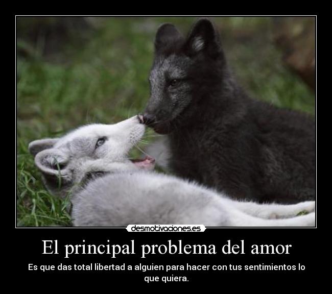 El principal problema del amor - Es que das total libertad a alguien para hacer con tus sentimientos lo que quiera.