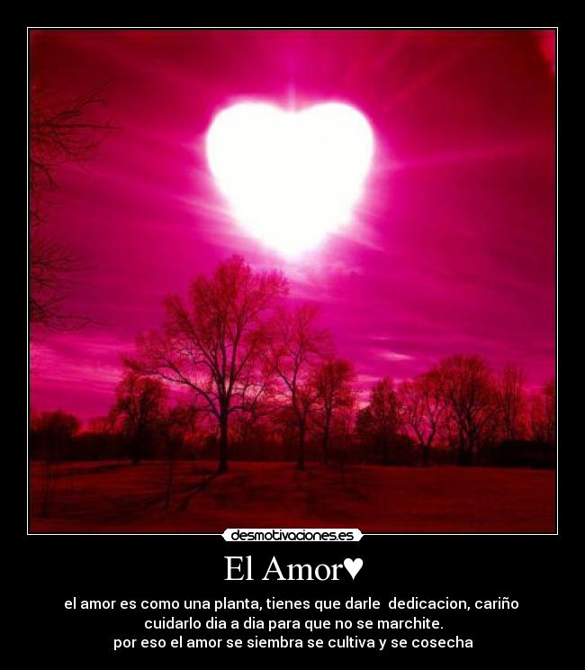 El Amor♥ - 
