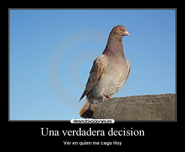 Una verdadera decision - 