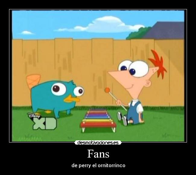 Fans -