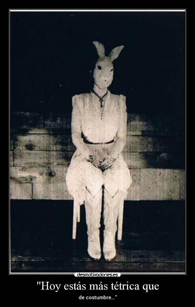 carteles nomiresaqui elclanviral toslocos lilyjames call name para ovejita linda desmotivaciones