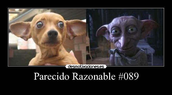 Parecido Razonable #089 - 