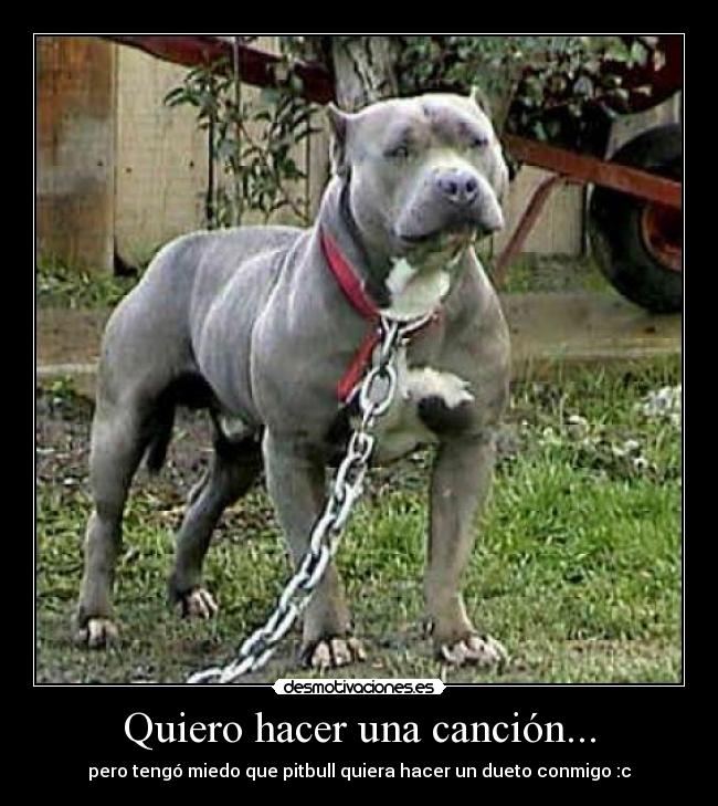 Quiero hacer una canción... - 