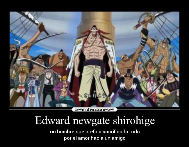 Edward newgate shirohige -