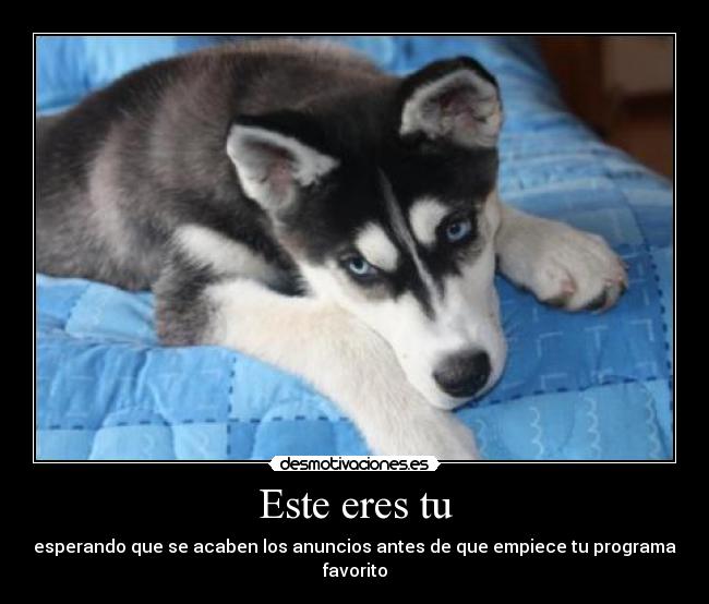 Este eres tu - esperando que se acaben los anuncios antes de que empiece tu programa favorito