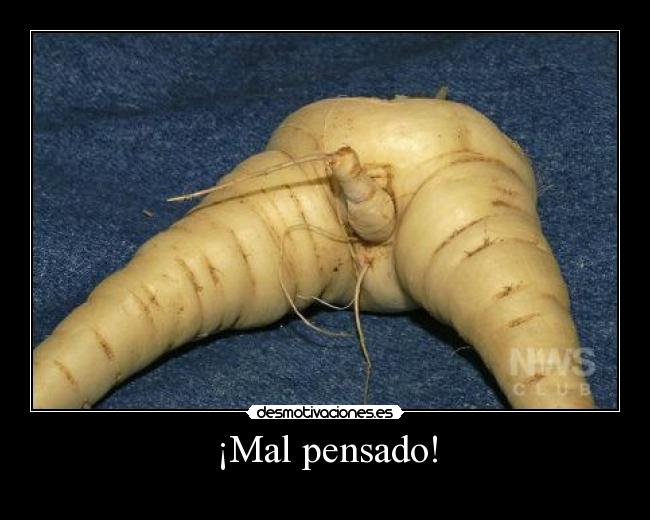 ¡Mal pensado! -