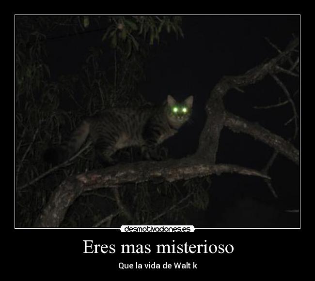 Eres mas misterioso - Que la vida de Walt k