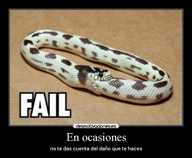 En ocasiones -