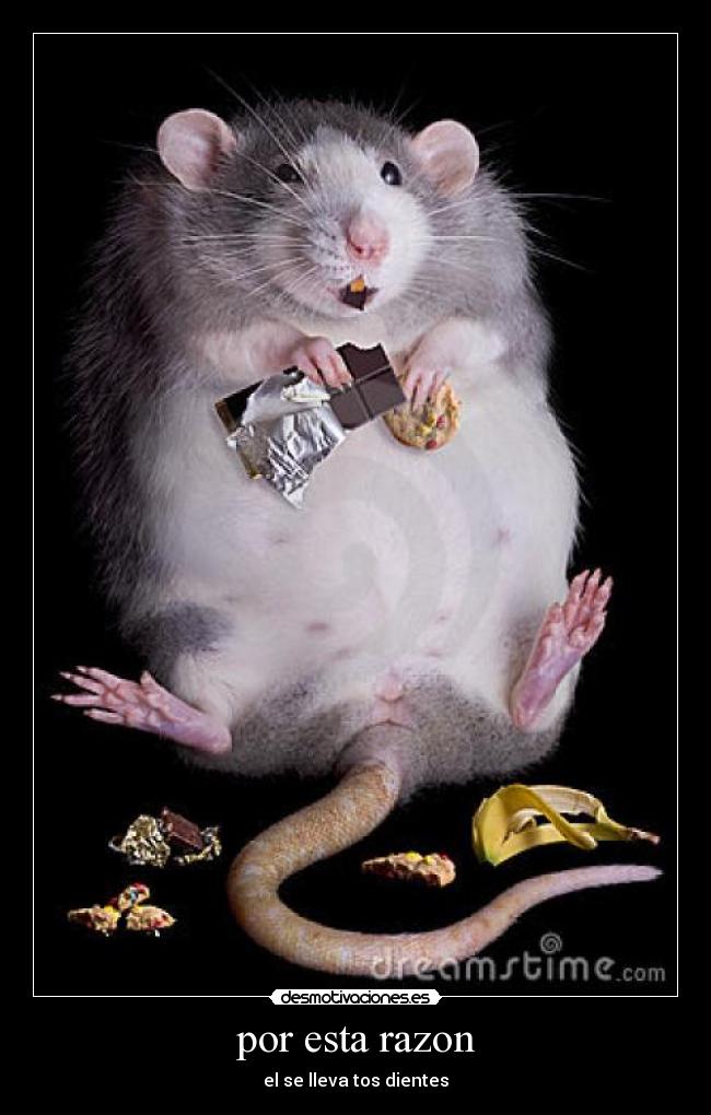 carteles raton perez desmotivaciones